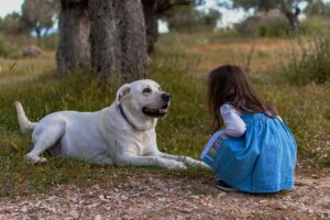 Cani giocherelloni e affettuosi, ideali per famiglie con bambini.