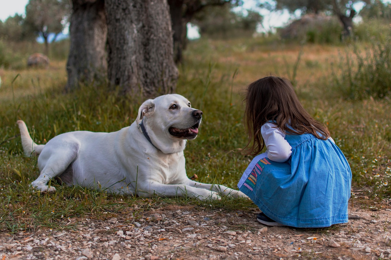 Cani giocherelloni e affettuosi, ideali per famiglie con bambini.